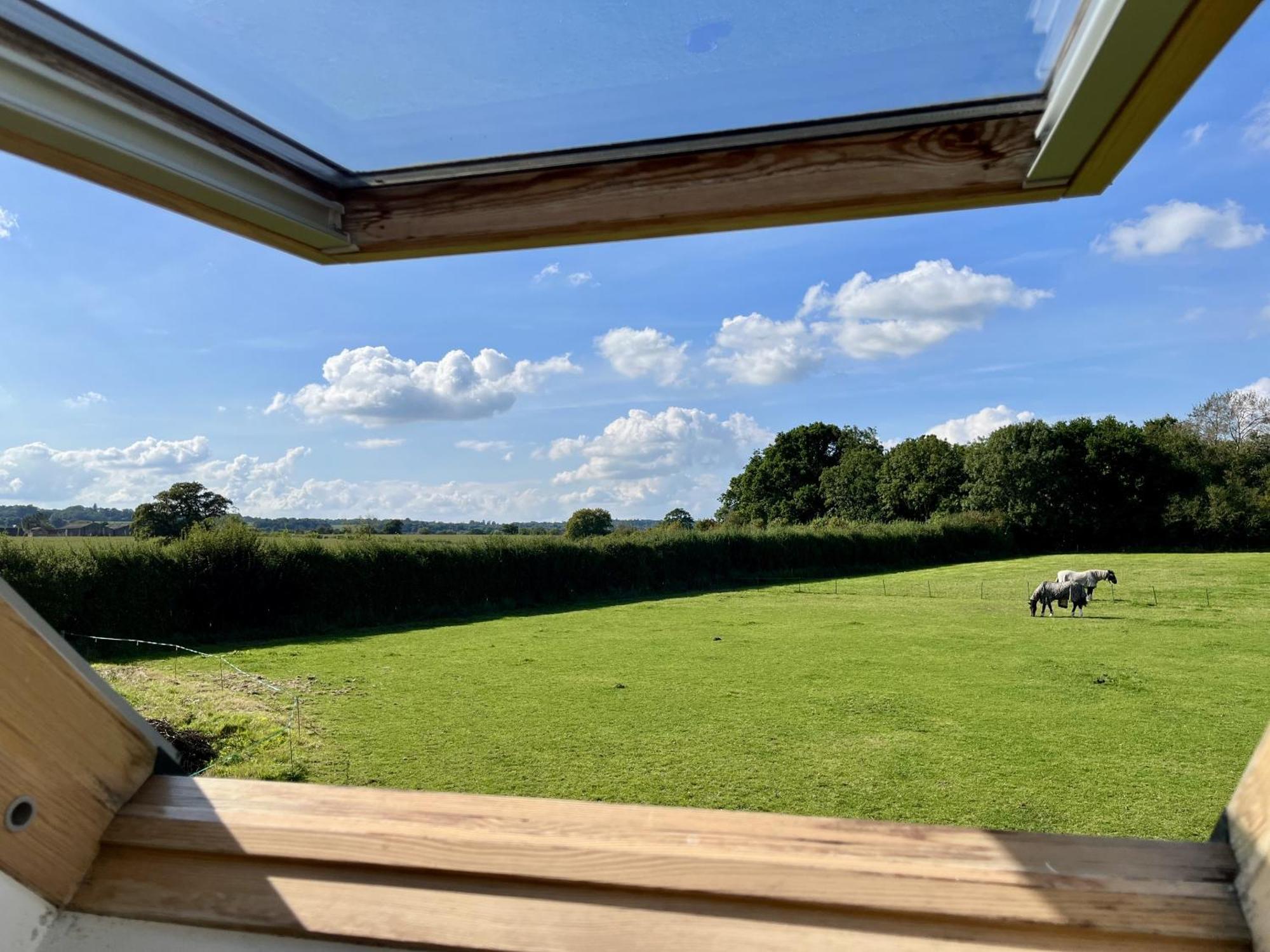 Priors Oak - A Cosy Studio With Countryside Views In Dorset Stalbridge Εξωτερικό φωτογραφία